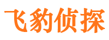 安化婚外情调查取证